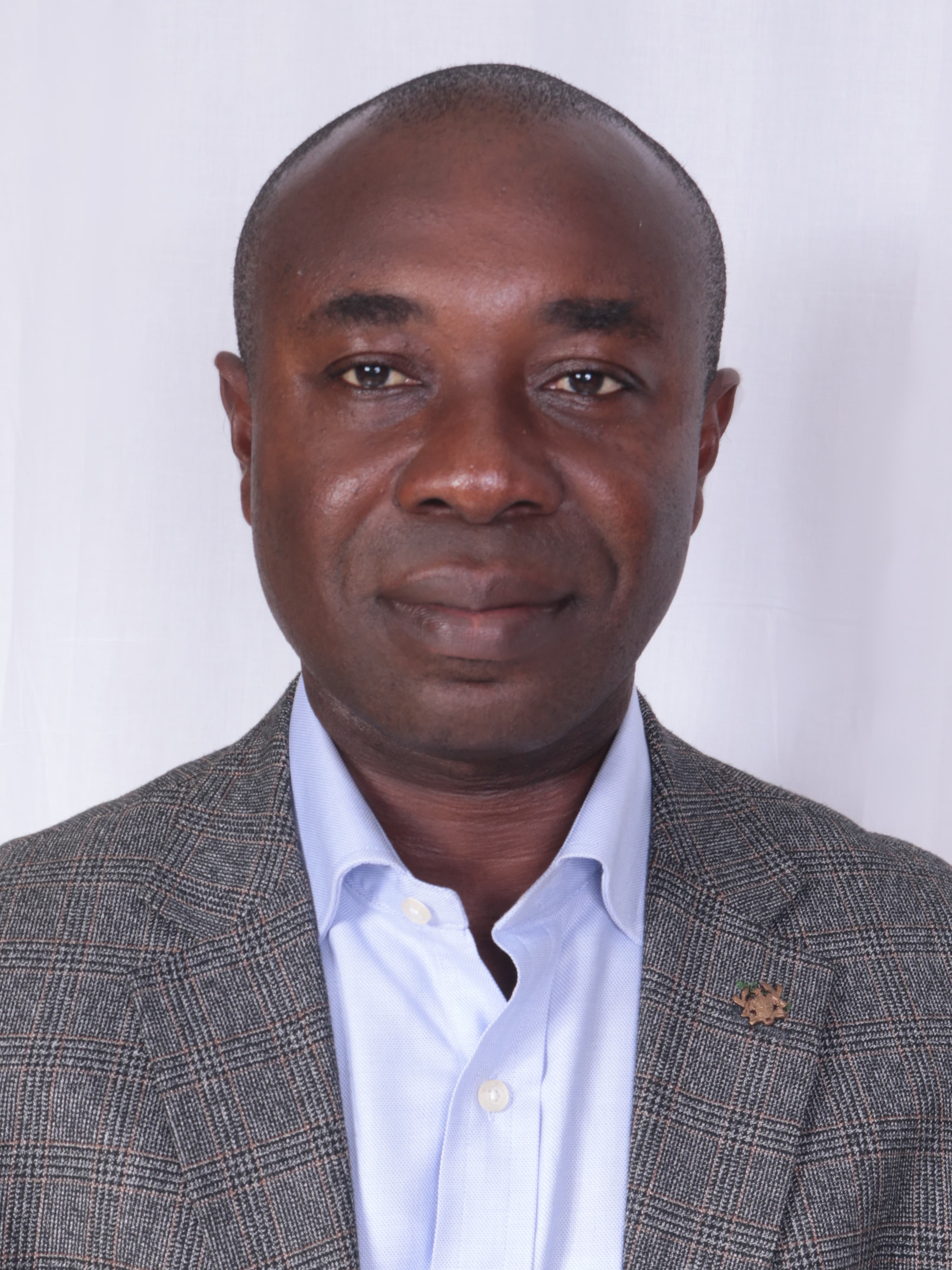 Advisor to the Minister – Office of Presidential Special Initiatives Image 2